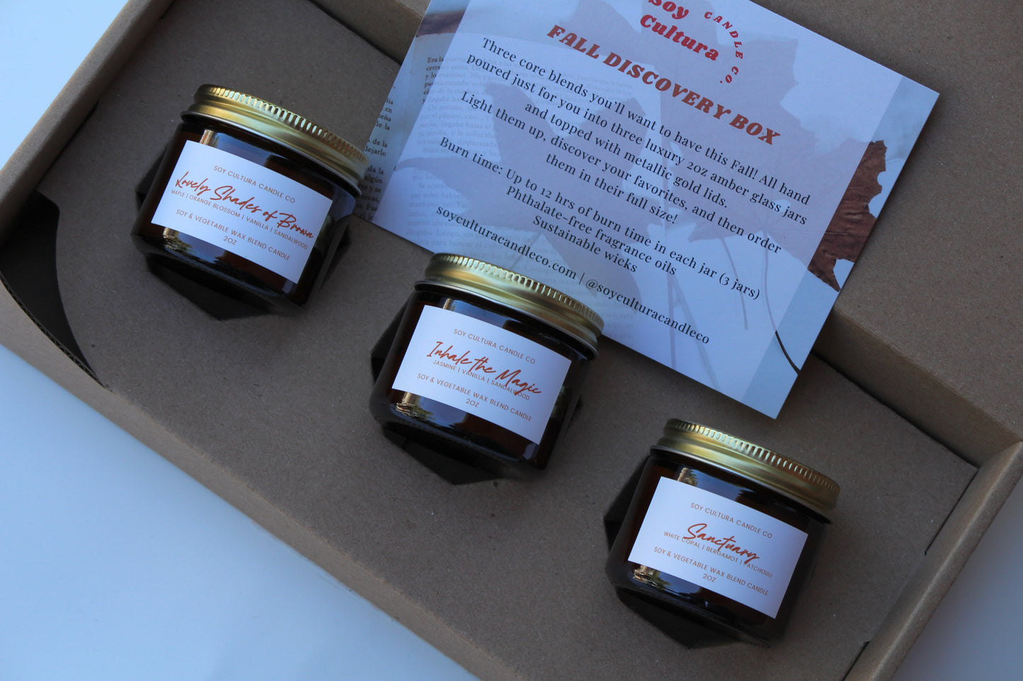 Fall Discovery Box