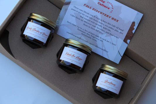 Fall Discovery Box